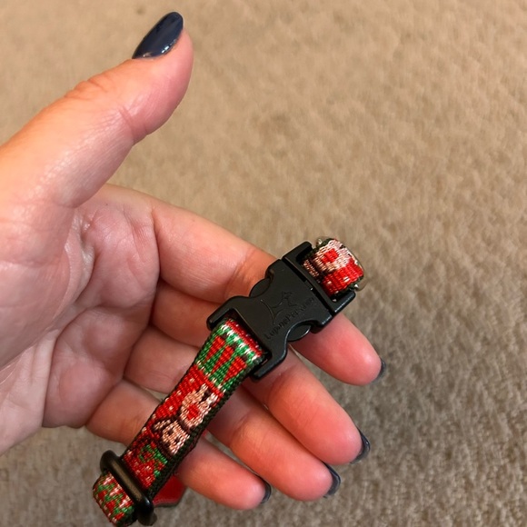 Lupine Christmas collar - Picture 2 of 2